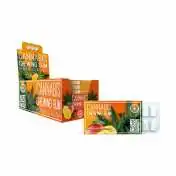 Chewing-gum CBD mangue | MULTITRANCE complet