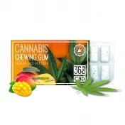 Chewing-gum CBD Mangue