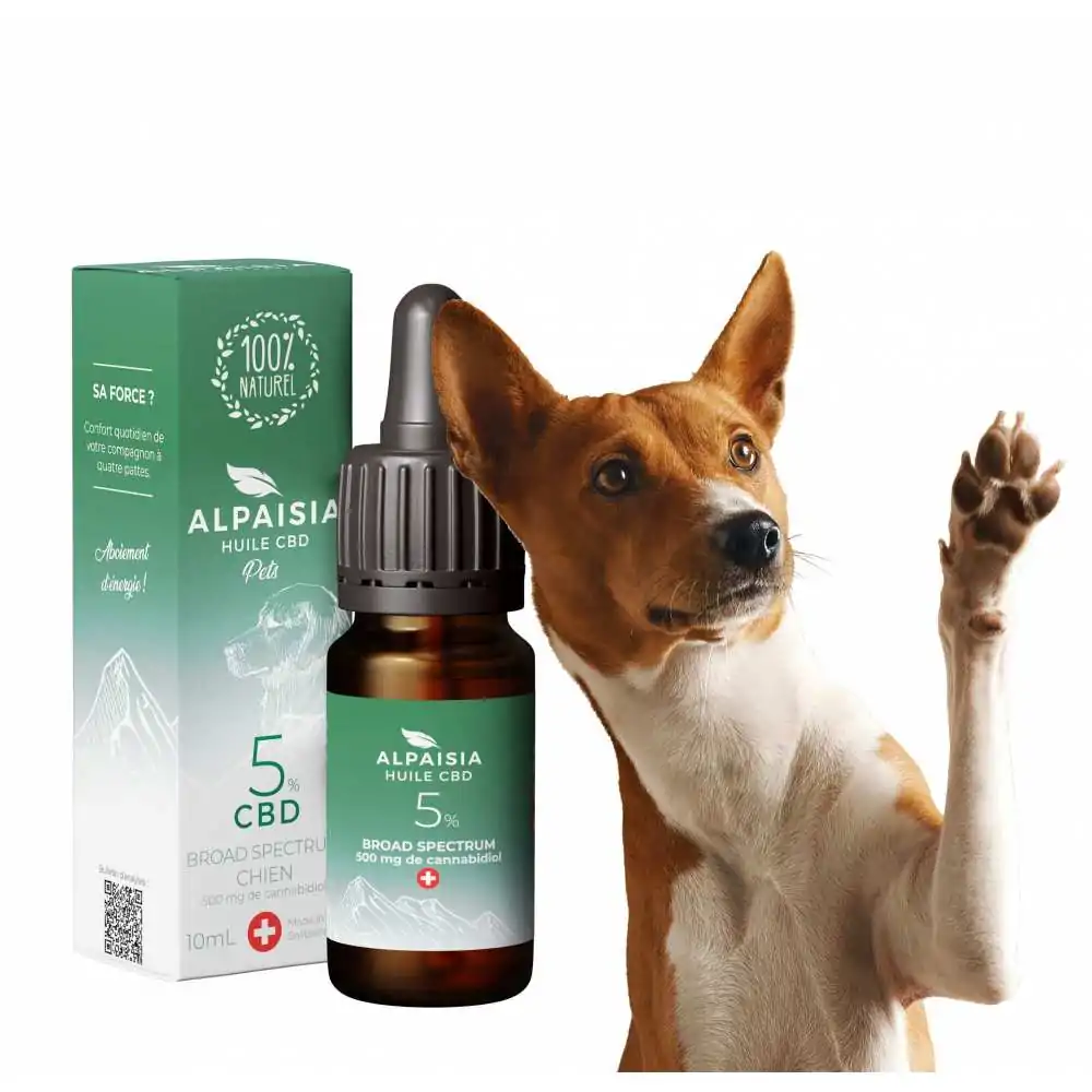 Huile Cbd Spectre Large Pour Chien Alpaisia