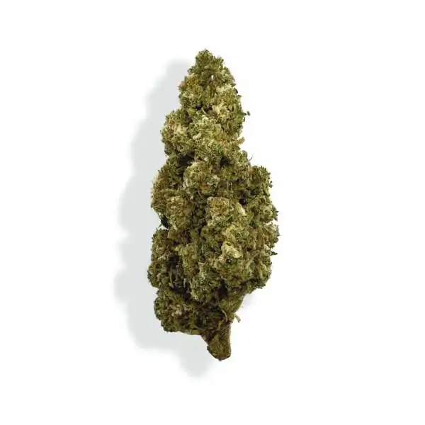 fleur de cbd orange bud