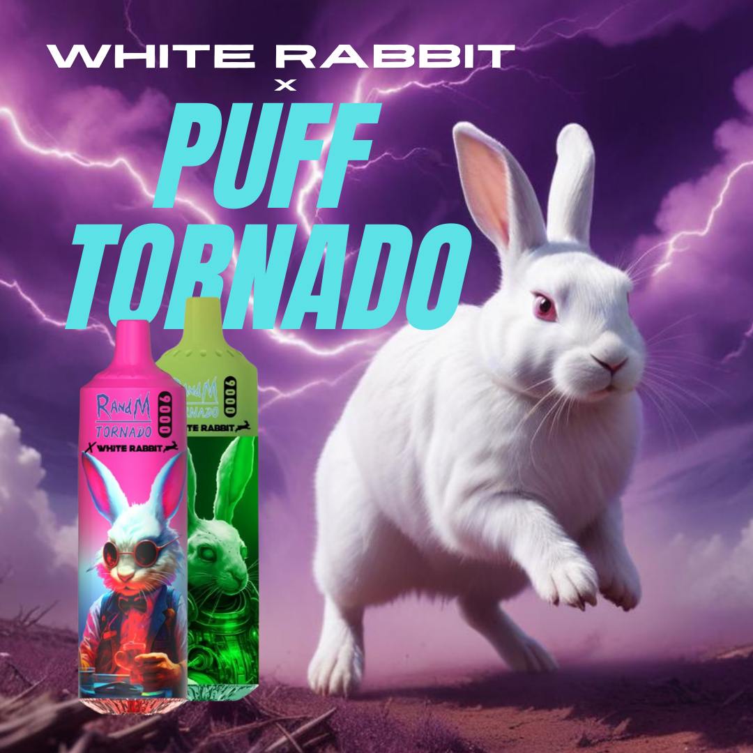 puff white rabbit randm tornado france