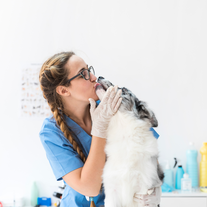 Veterinaire Chien CBD