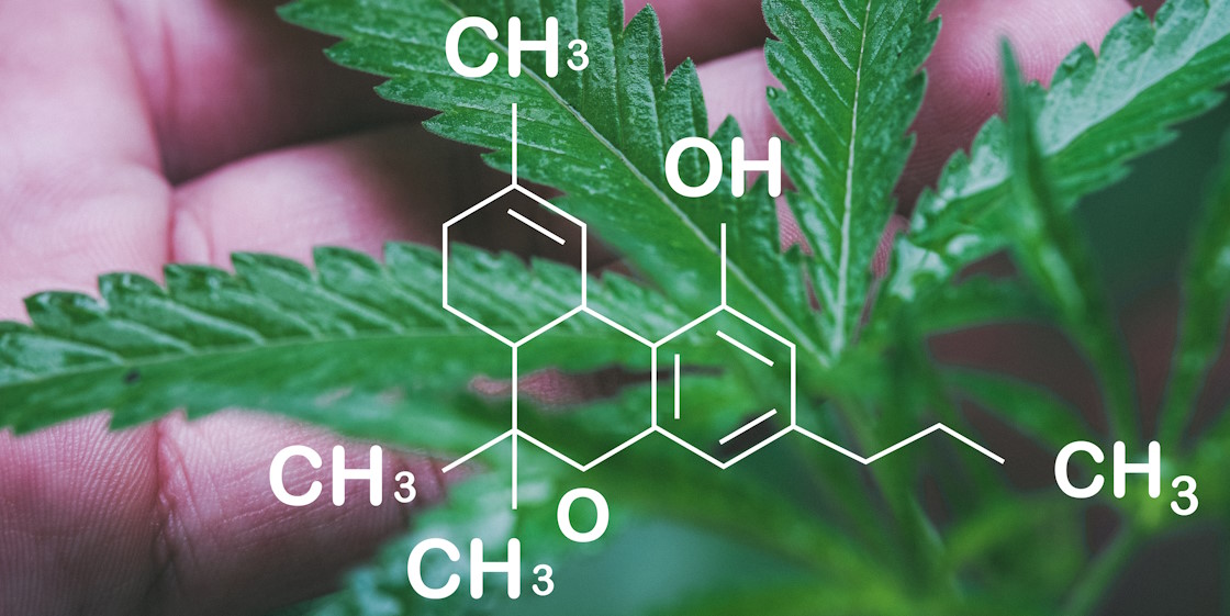 molécule THCV