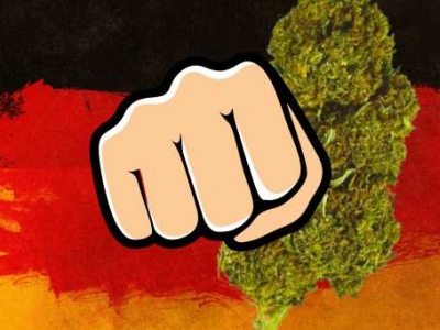  Légalisation du cannabis en Allemagne : débat & répercussions transfrontalières