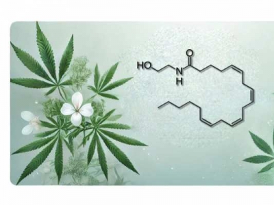 Résine Space AEA : Expérience Bien-être avec l'Anandamide CBD